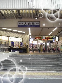 01.jpg