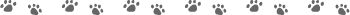 inst_sozai_ (13).gif