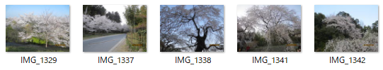 ENJOY!写真デコレーション講座02.png