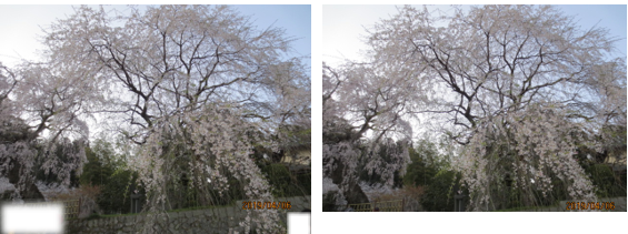 ENJOY!写真デコレーション講座03.png