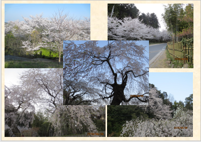 ENJOY!写真デコレーション講座04.png