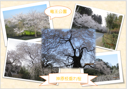 ENJOY!写真デコレーション講座05.png