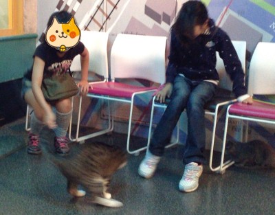 oyama_neko_002.JPG