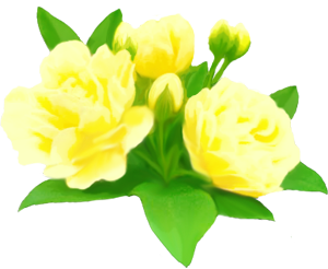 教室ブログ 市民パソコン塾 教室ブログ 市民パソコン塾