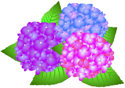 ブログ 市民パソコン塾