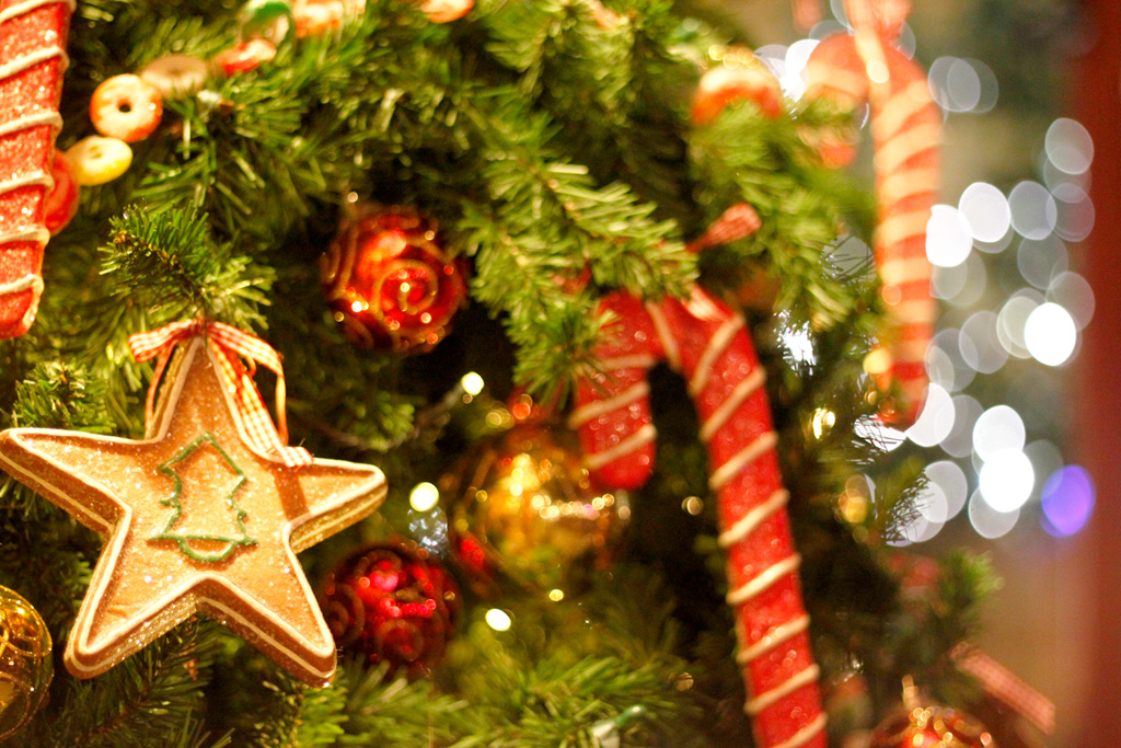 christmas_syasin_kisogawa.jpg