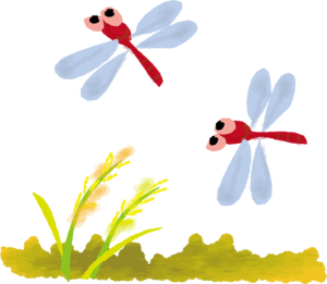 赤とんぼ.png