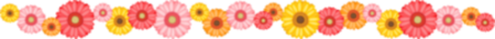 花枠.pngのサムネイル画像のサムネイル画像
