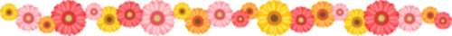 花枠.pngのサムネイル画像