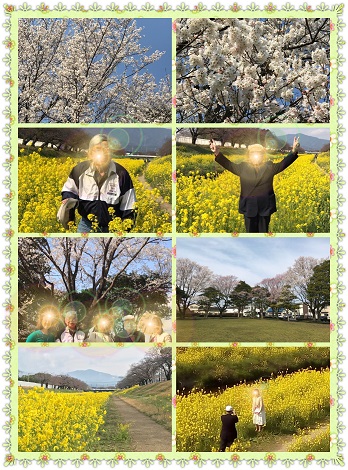 20170403dejihanami.jpg