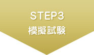 STEP3 模擬試験