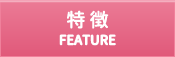 特徴 FEE