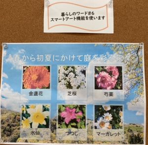 花の写真シート